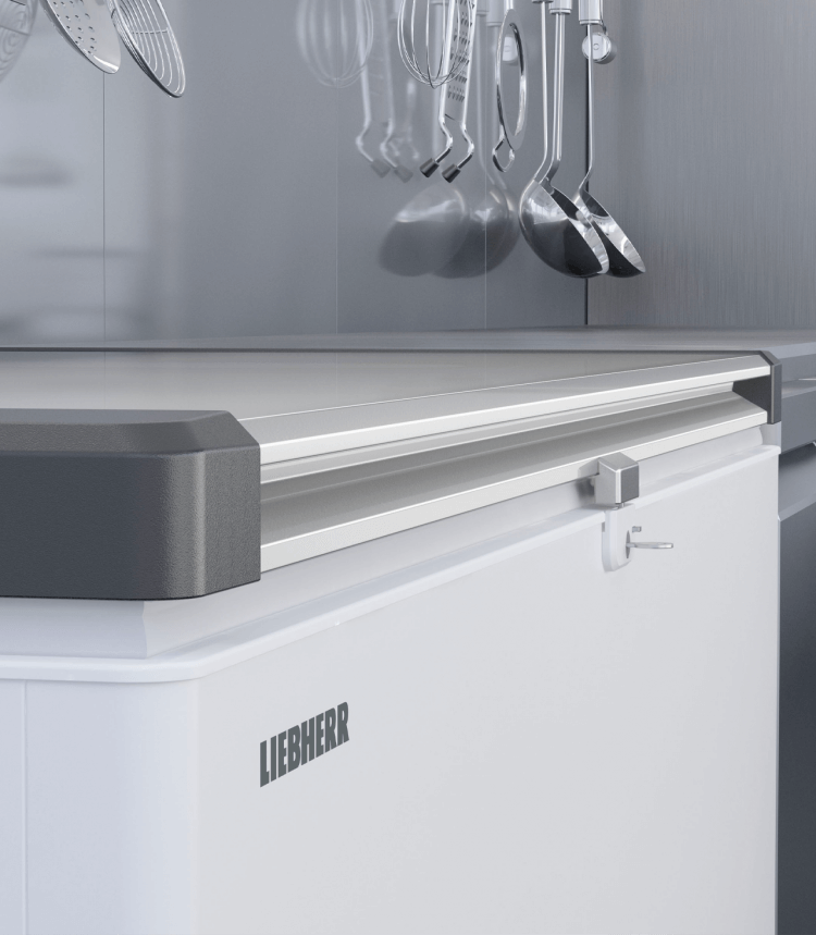 Liebherr diepvrieskist EFL 6056